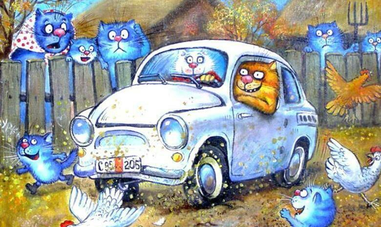 Жизнь приюта